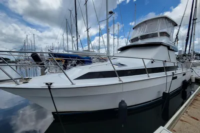 Mediterranean 38