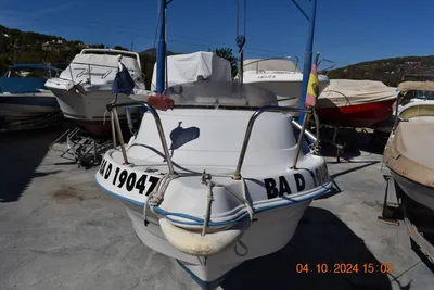 2006 Quicksilver 420