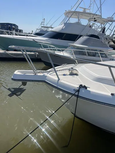  Yacht Photos Pics 