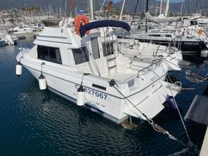 1992 Bayliner Ciera 2556