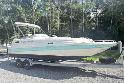 Splendor 239 Sunstar
