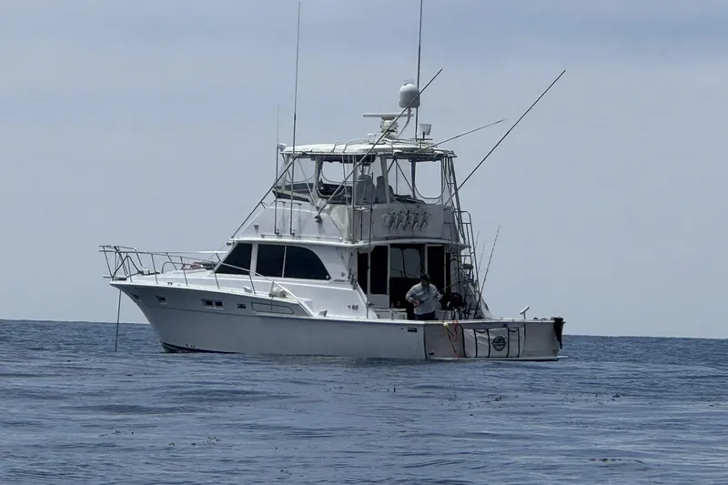  Yacht Photos Pics 1979 Bertram 46.6 Sport Fisher boat on open sea, equipped for fishing.