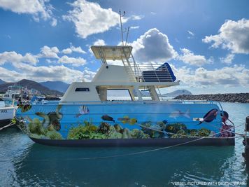 Armstrong Marine Power Catamaran