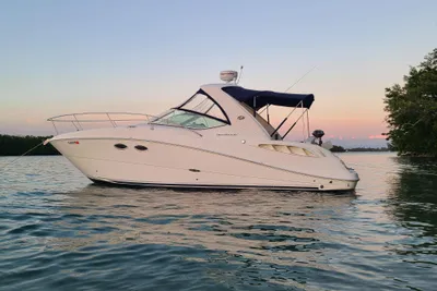 Sea Ray 290 Sundancer