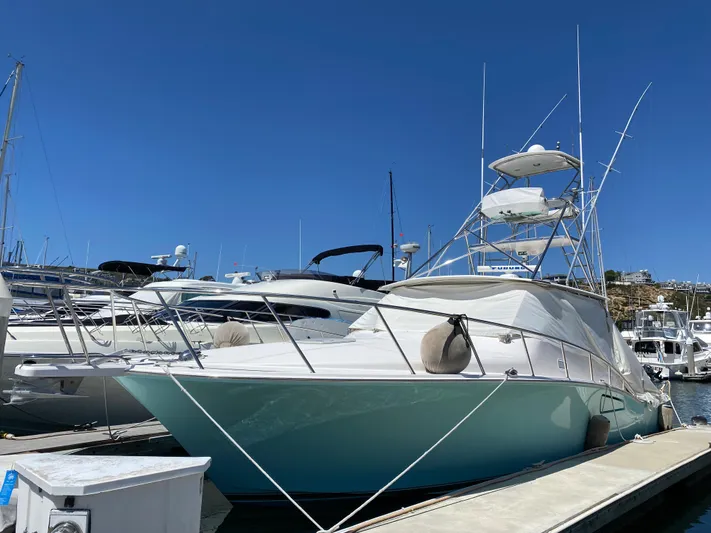 El Patron Yacht Photos Pics 