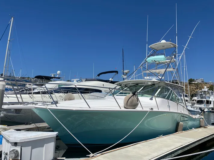 El Patron Yacht Photos Pics 