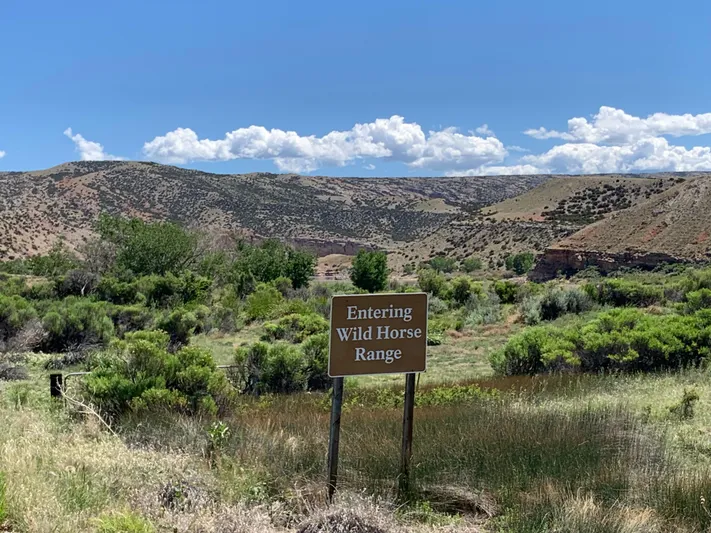 Mv Belle Yacht Photos Pics 