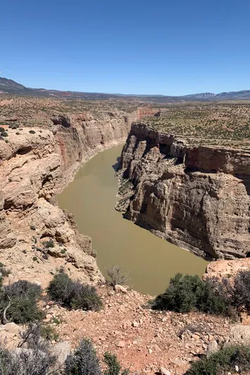 Mv Belle Yacht Photos Pics 