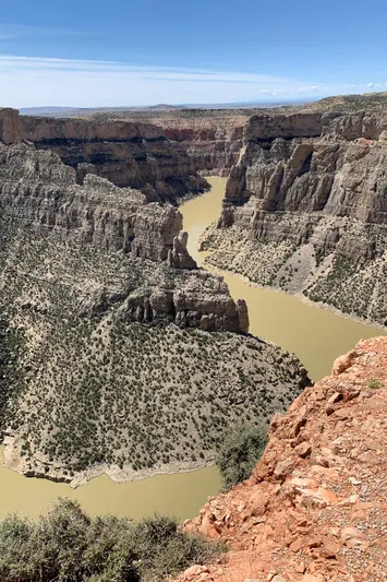 Mv Belle Yacht Photos Pics 