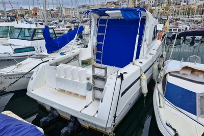 RIO 800 Cabin Fish