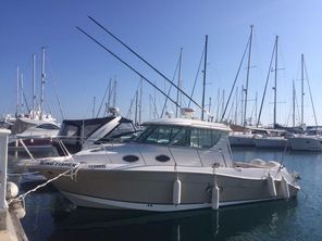 Striper 2901 Walkaround I/O