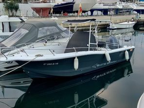 White Shark 246
