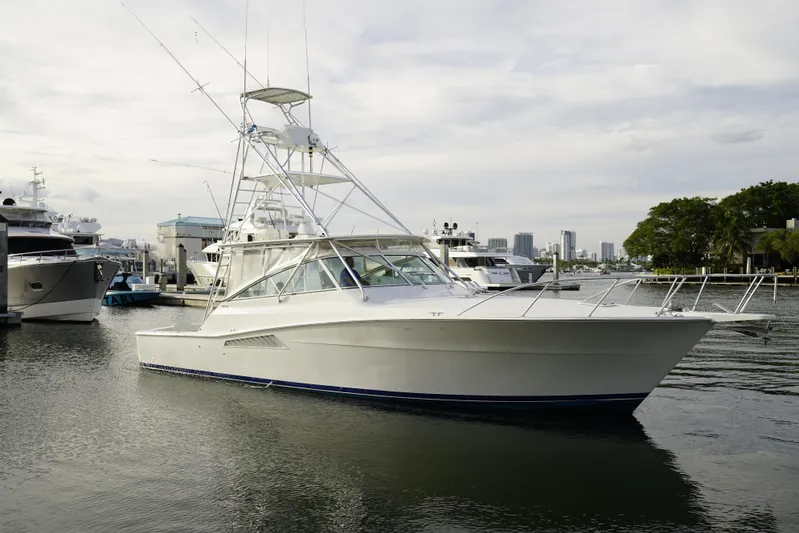 Knot A Problem Yacht Photos Pics 