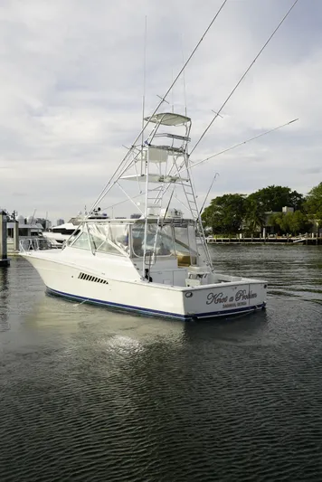 Knot A Problem Yacht Photos Pics 