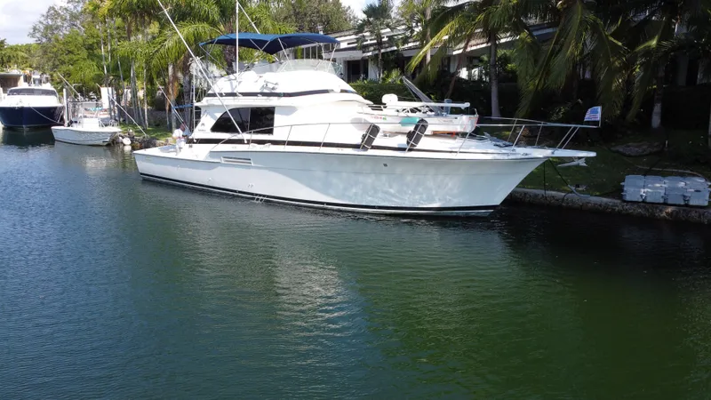 Tambo Yacht Photos Pics 