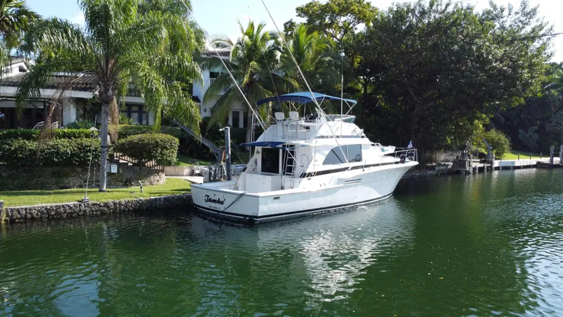 Tambo Yacht Photos Pics 
