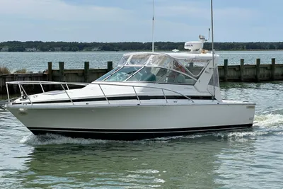 Bertram 30 Express Fisherman