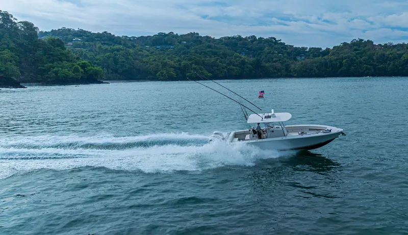 Half Nelson Yacht Photos Pics A 2016 Jupiter HFS boat speeding on a scenic lake with lush green hills.