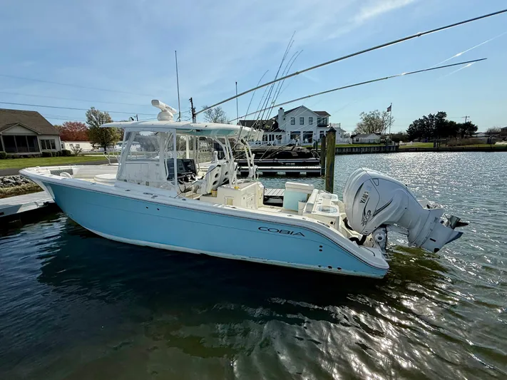  Yacht Photos Pics 