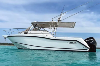 Boston Whaler 255 Conquest