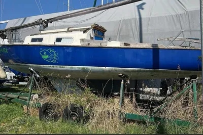 1983 Custom Shark 24