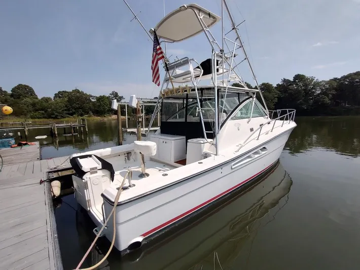 Reel Time Yacht Photos Pics 