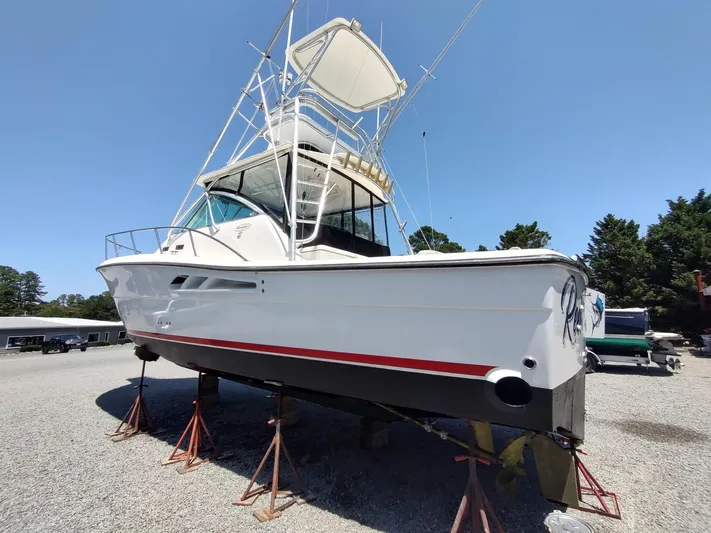Reel Time Yacht Photos Pics 