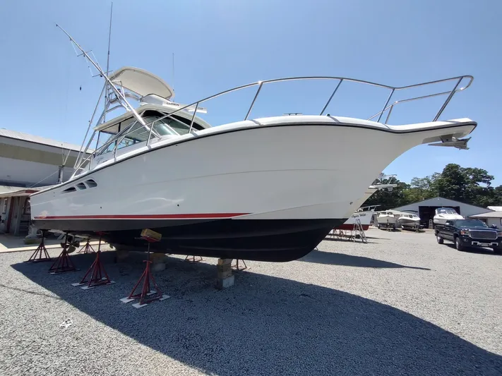 Reel Time Yacht Photos Pics 