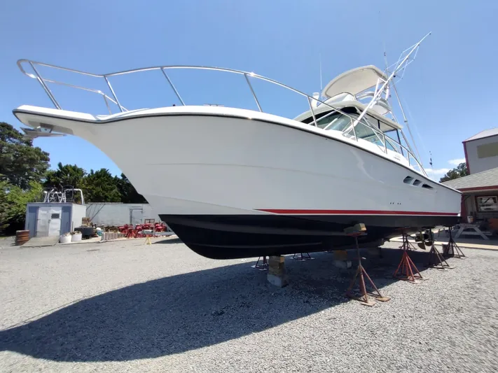 Reel Time Yacht Photos Pics 