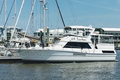Viking 44