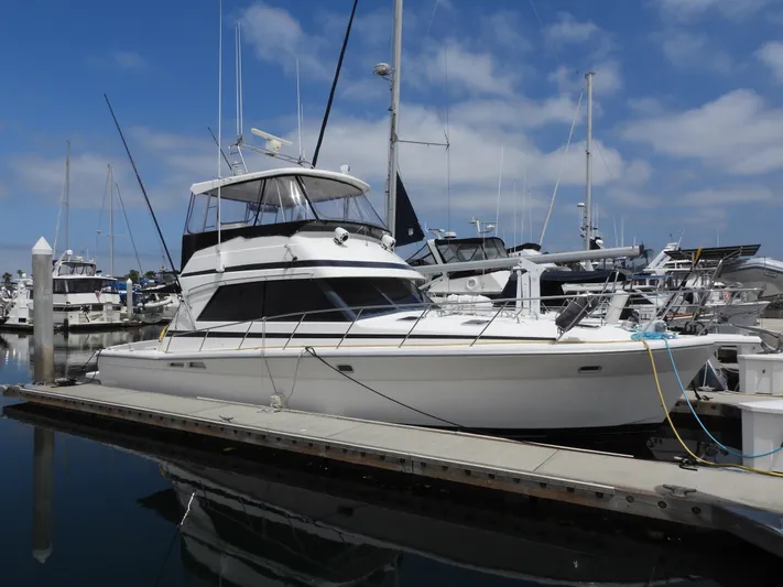  Yacht Photos Pics 