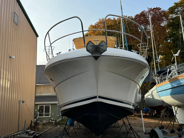 What A Pleasure Yacht Photos Pics 