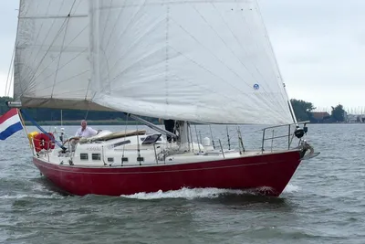 Van De Stadt Rebel 41