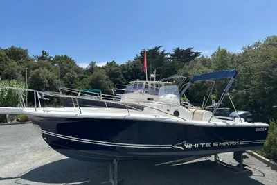White Shark 255