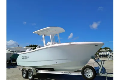 Robalo R230 Center Console