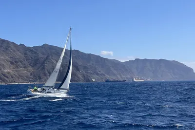 1984 Custom Margutte 30