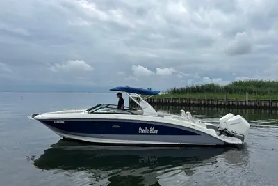 Sea Ray SDX 290 Outboard