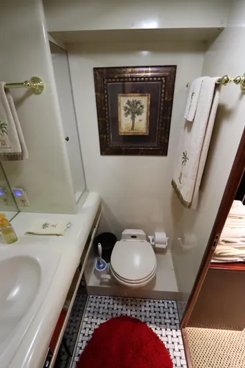  Yacht Photos Pics 1991 Viking Motor Yacht bathroom with modern amenities and palm tree decor.