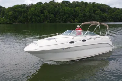 Sea Ray 240 Sundancer