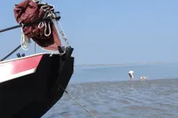 1955 Zeeschouw Type Huitema