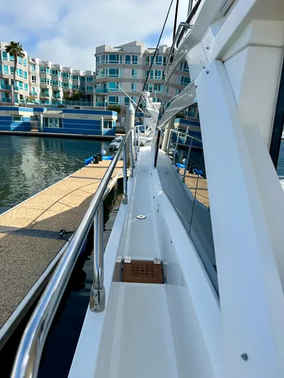 Y Knot Yacht Photos Pics 