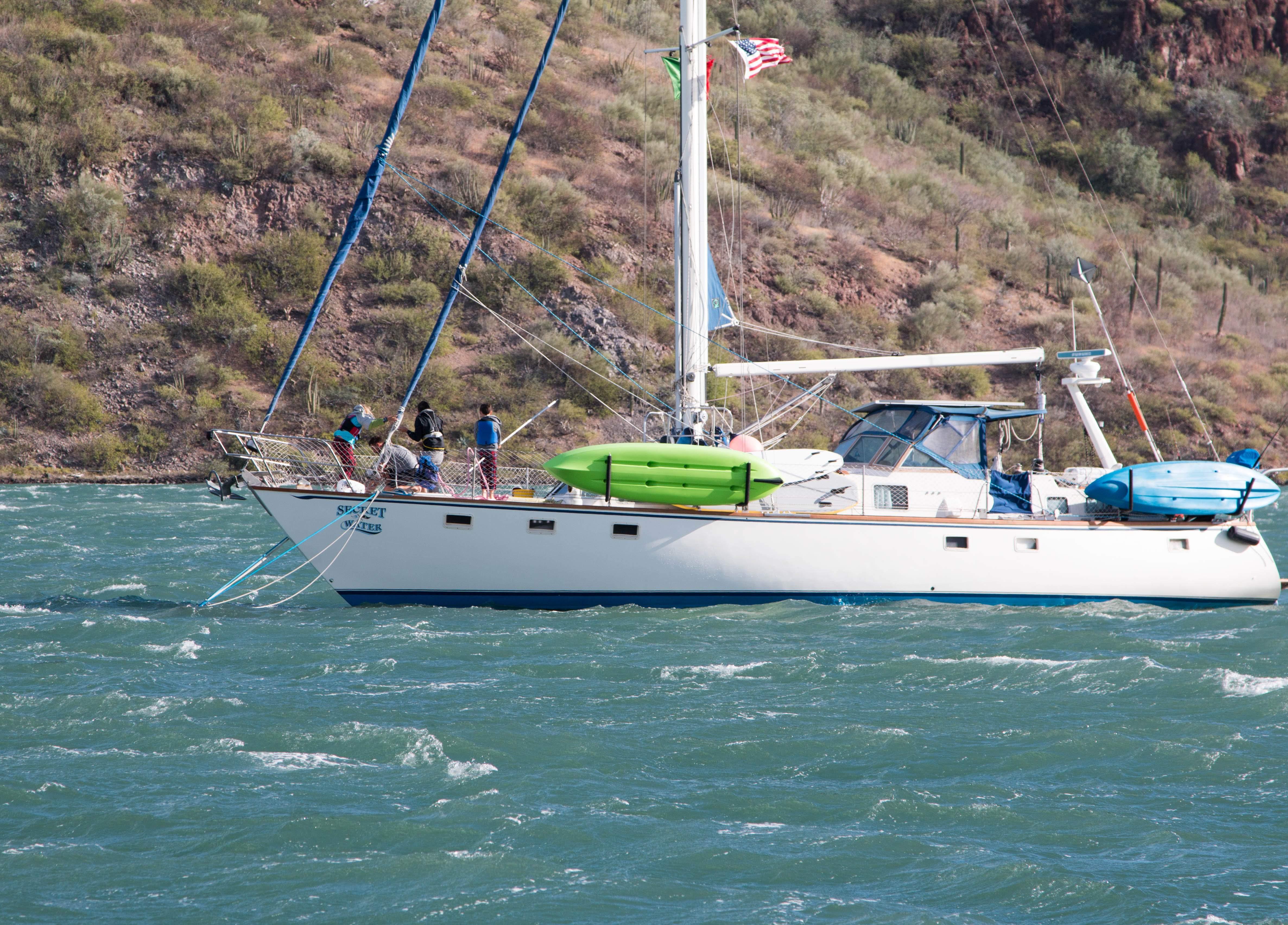 Maple Leaf boats for sale | YachtWorld