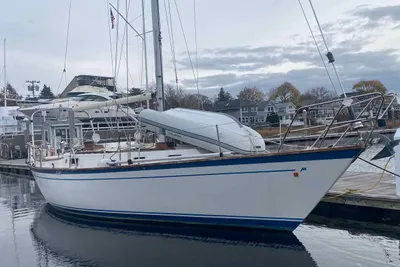 Morgan 384