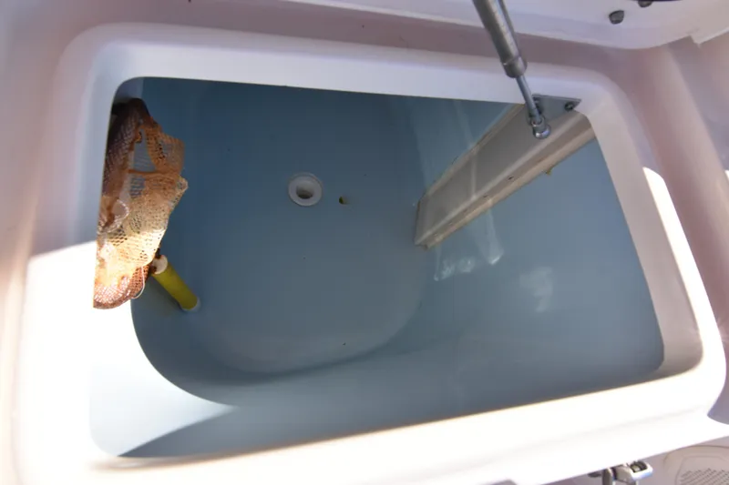 Reel E Blessed Yacht Photos Pics Livewell compartment on a 2017 Grady-White Express 330 boat, featuring a clean interior.