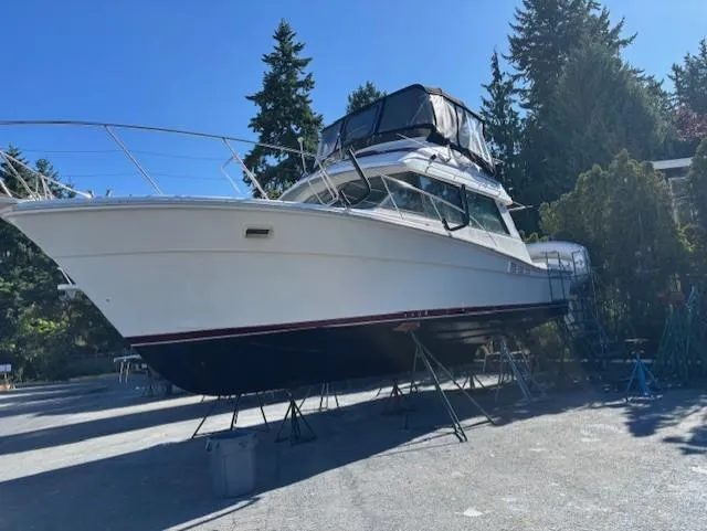 Thunderbolt Yacht Photos Pics 1988 Riviera Convertible boat on stands, surrounded by trees, under clear blue sky.