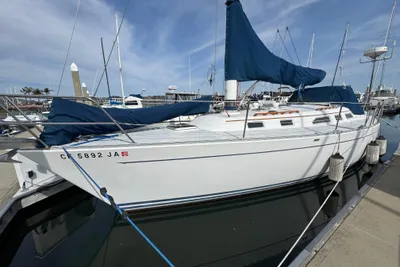 Freedom 36