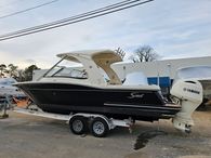 2017 Scout 275 Dorado