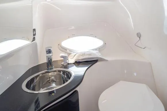 Ready For Delivery! Yacht Photos Pics Luxurious bathroom in Hanover 305 White and Black Premium Edition, 2026 model, featuring sleek design.