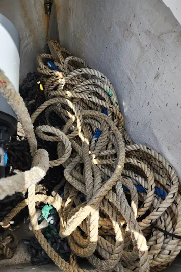 Day One Yacht Photos Pics 