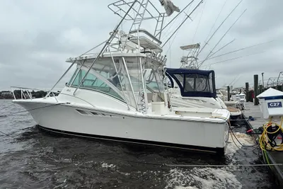 Luhrs 32 Open
